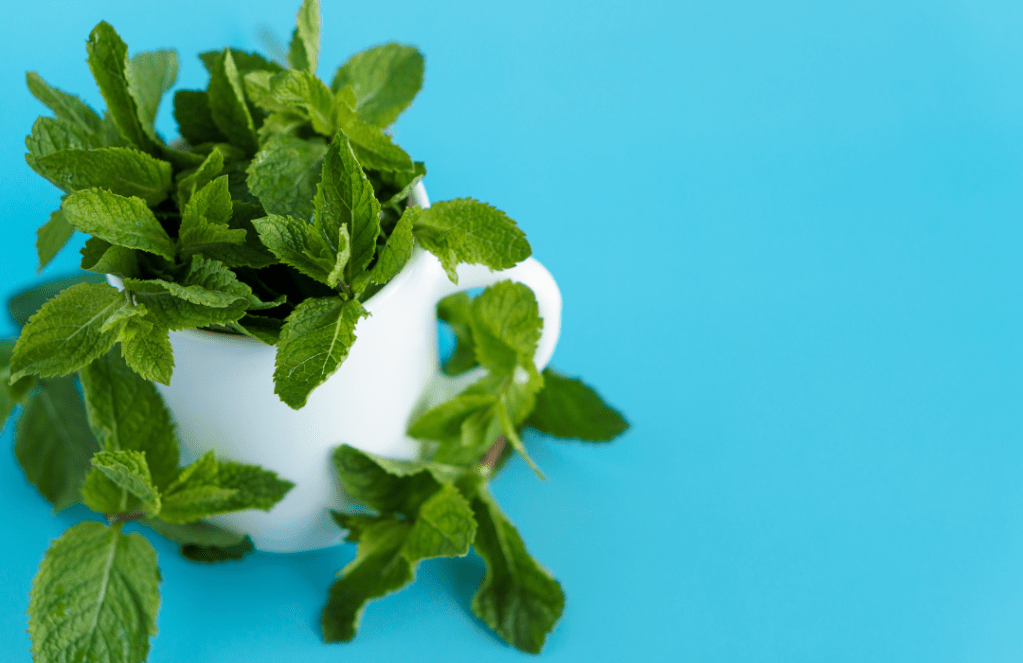 Keep It in the Pantry:&nbsp;Peppermint